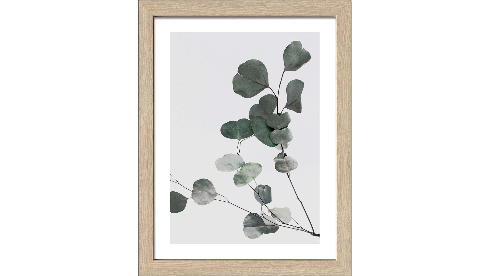 Kunstdruck Pro®art bilderpalette aus Karton / Papier / Pappe in Grün PRO®ART Kunstdruck Scandic Living Eucalyptus & Eiche - ca. 35 x 45 cm