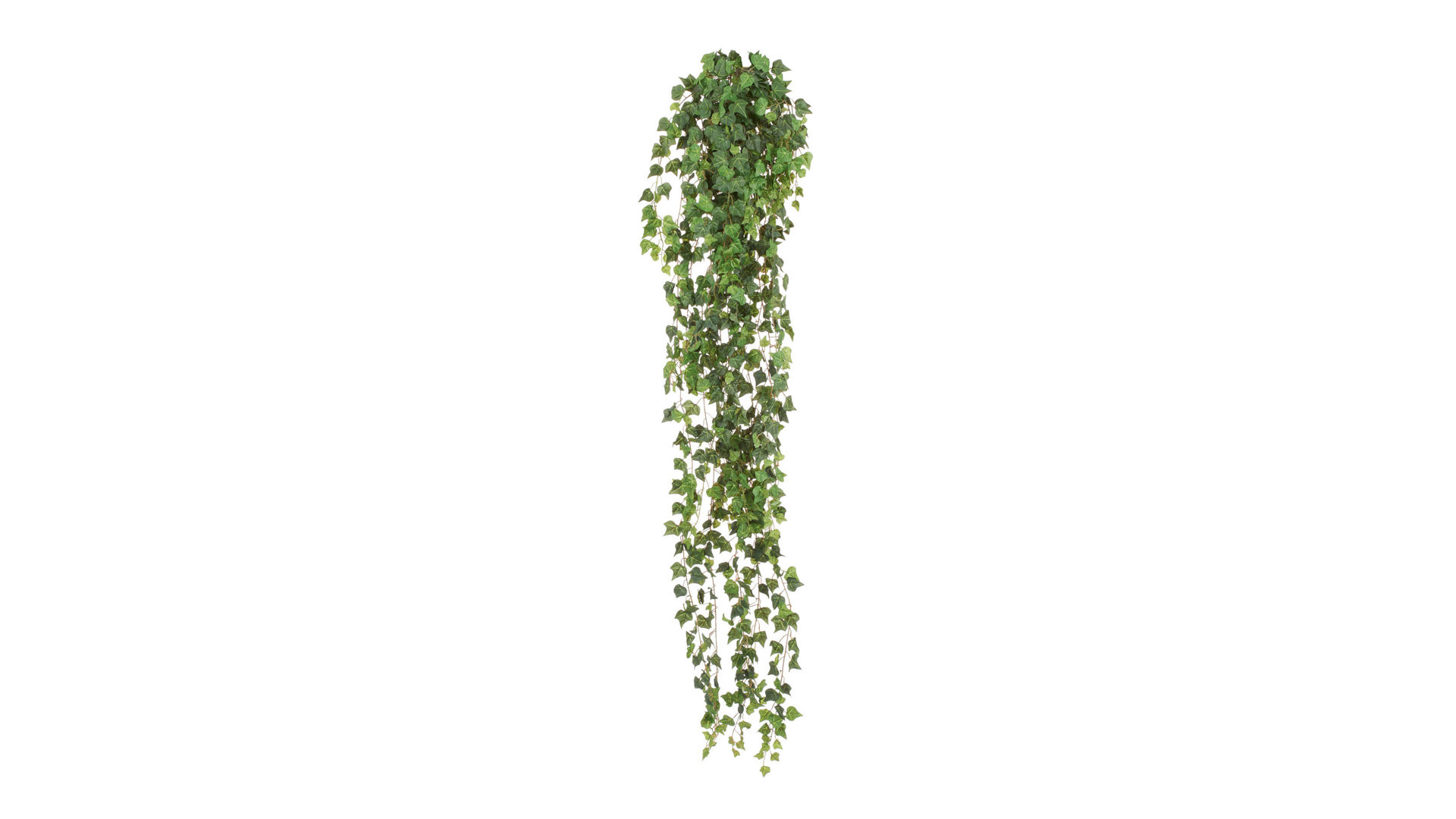 Pflanze Gasper aus Kunststoff in Grün Englische Mini-Efeuranke künstliche Efeublätter - ca. 180 cm lang
