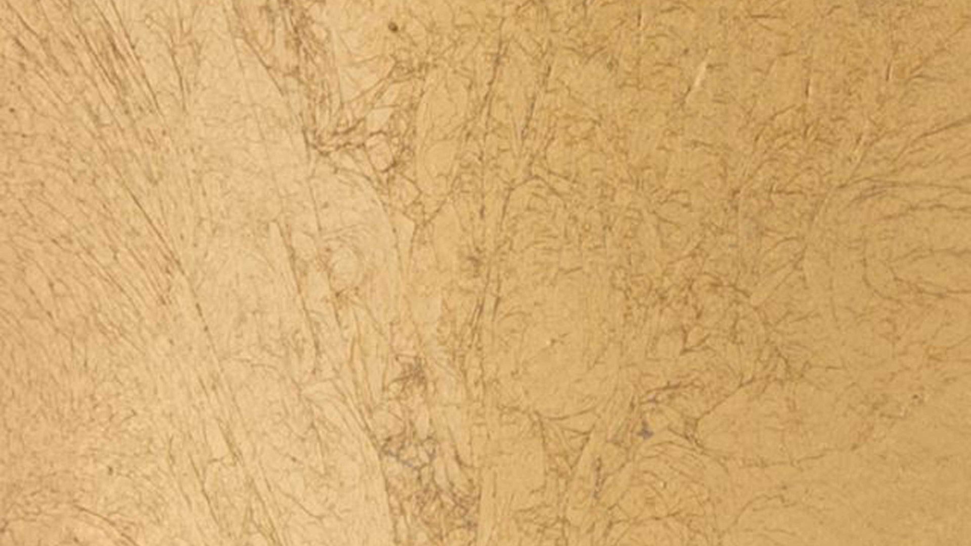 Wandleuchte Fh fischer & honsel aus Metall in Gold FH Wandleuchten Serie Rio Blattgold & Sandschwarz - Länge ca. 23 cm