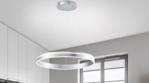 Pendelleuchte Paul neuhaus aus Metall in Metallfarben Paul Neuhaus Q®-VITO - Hängelampe Edelstahl – Durchmesser ca. 59 cm