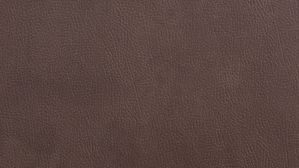 Mehrpreis modulmaster aus Stoff in Braun Modulmaster MM-PP1188 - stoffbezogene Liegefläche nougatbraune Mikrofaser Mammut